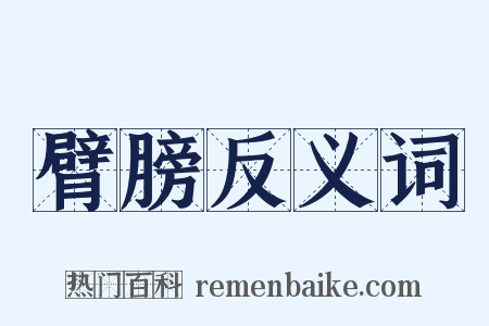 臂膀反义词是什么意思的图片